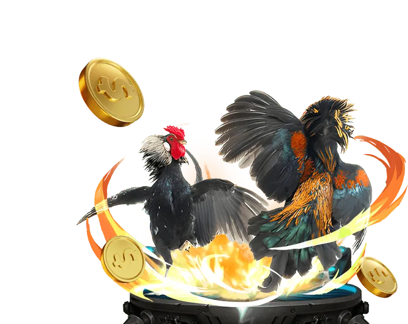 Chương trình VIP S666